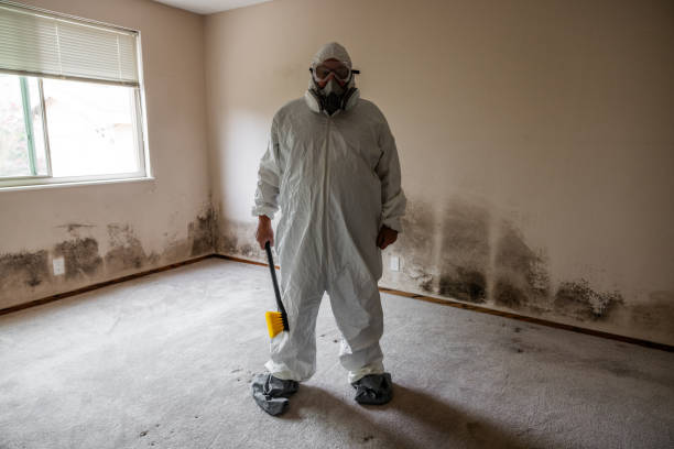 Best Attic Mold Removal  in Lagrange, GA